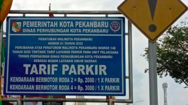 Dua Juru Parkir di Pekanbaru Dibekuk gegara Minta Uang Parkir Lebihi Ketentuan