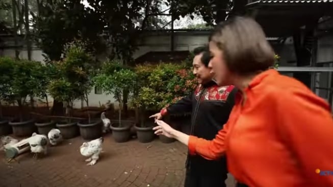 Ayam brahma dan burung merpati Jerman peliharaaan di rumah AM Hendropriyono. (YouTube/SCTV)