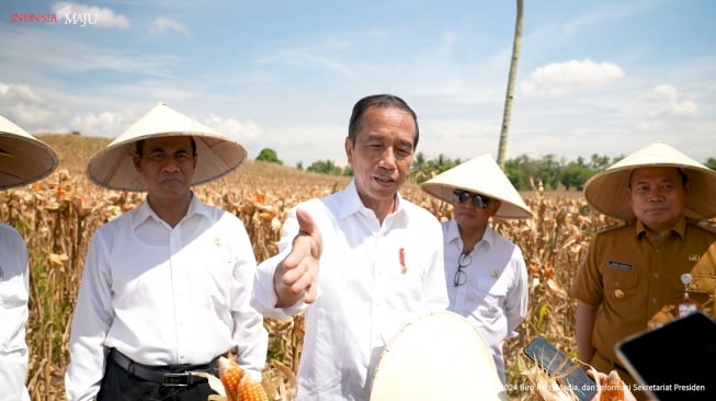 Jokowi Tanggapi Hasil Perselisihan Pilpres: Tuduhan ke Pemerintah Tidak Terbukti