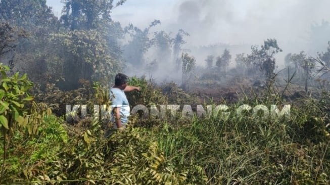 Terduga Pelaku Pembakaran Lahan di Bontang Barat Dibebaskan, Polisi Terus Lakukan Penyelidikan