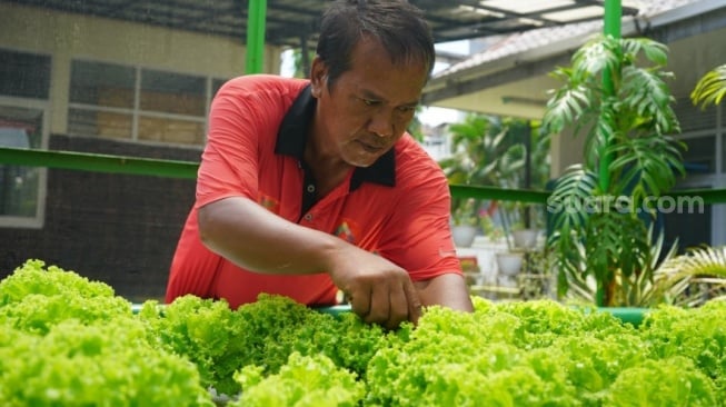 Kisah ODGJ di Makassar, Punya Penghasilan Setiap Bulan Dari Berkebun