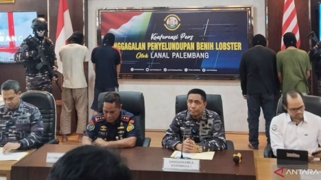 Lanal Palembang Gagalkan Penyelundupan Benih Lobster Rp 15 Miliar ke Singapura