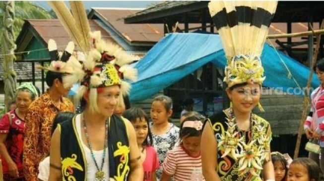 Tradisi Pra Pernikahan Suku Dayak Bahau: Ritual Sakral Menuju Kehidupan Baru