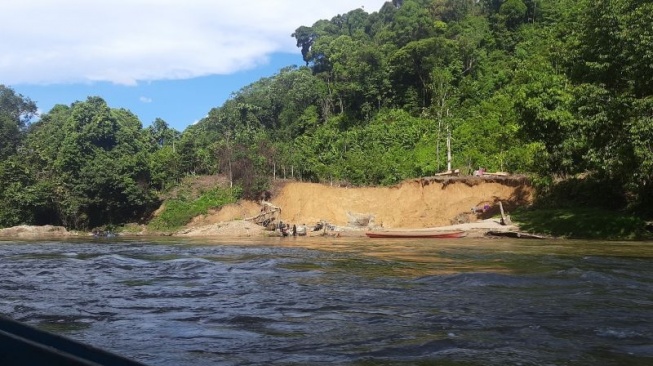 Tambang Emas Ilegal di Hulu Sungai Kapuas Merusak Taman Nasional, Balai Besar TNBKDS Siap Tertibkan