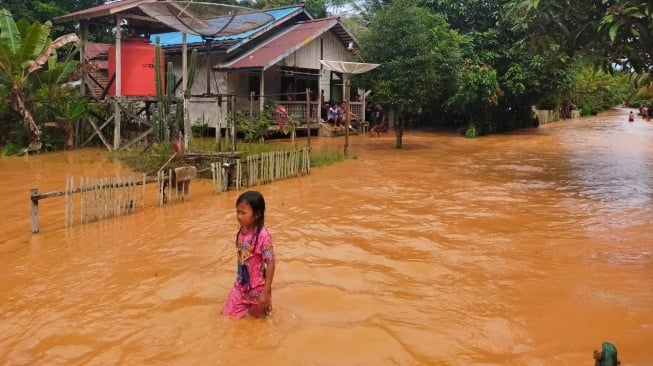 Kondisi banjir di Melawi, Kalimantan Barat. (Suara.com/Ist)