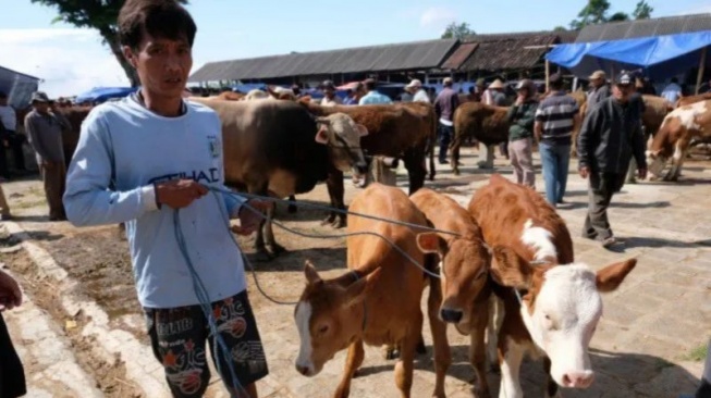 Penyembelihan Hewan Kurban Sering Ditonton Banyak Orang, Ternyata Begini Hukumnya Lho