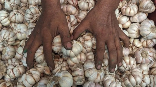 Pedagang merapikan bawang putih dagangannya di Pasar Raya Medan Mega Trade Center (MMTC), Deli Serdang, Minggu (19/5/2024). [Antara]