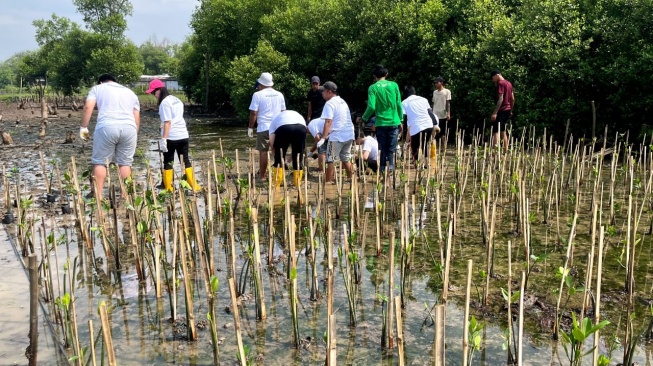 Cegah Abrasi, Perusahaan Ini Tanam 1.000 Bibit Mangrove di Dekat Bandara Soetta