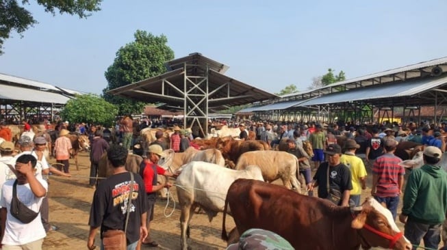 Cegah Penularan Penyakit Jelang Idul Adha, Puskeswan Playen Awasi Lalu Lintas Ternak di Pasar Siono