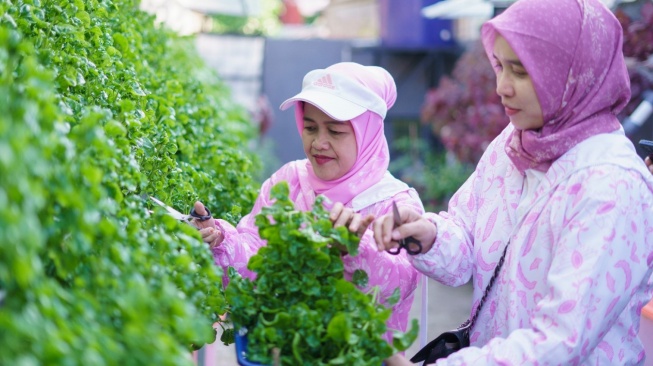 Kelompok Dasawisma Pisang di Palembang Sulap TPS Liar Jadi Urban Farming Bernilai Ekonomis