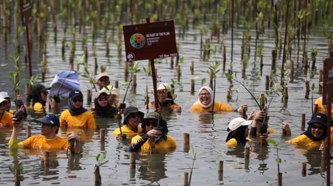 100 orang volunteers dari seluruh karyawan Grup ABM turut andil dalam memperingati Hari Keanekaragaman Internasional melalui penanaman 600 bibit pohon di Muara Angke, Jakarta Utara.