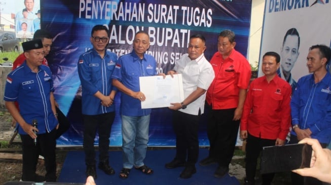 Maju Pilkada Lampung Selatan 2024, Nanang Ermanto Kemungkinan Didukung PDIP dan Demokrat