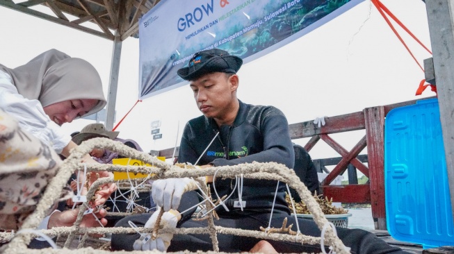 Kembangkan Potensi Wisata Daerah, BRI Menanam Grow & Green Beri Bantuan Transplantasi Terumbu Karang