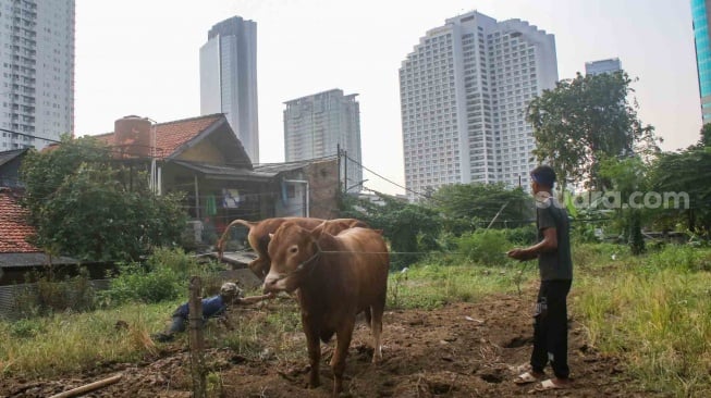 Wajib Ada Label! Pj Wali Kota Batu Pastikan Hewan Kurban Sehat dan Aman