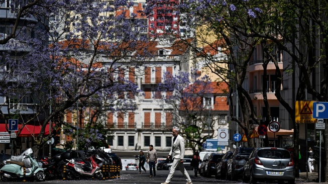 Ungu Merona Kota Lisbon Portugal karena Bunga Jacaranda