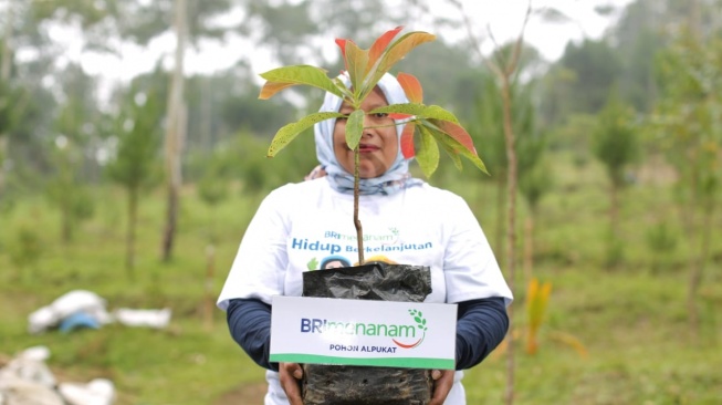 Bukan Sekadar Bisnis, BRI Buktikan Komitmen Hijau lewat Aksi Nyata