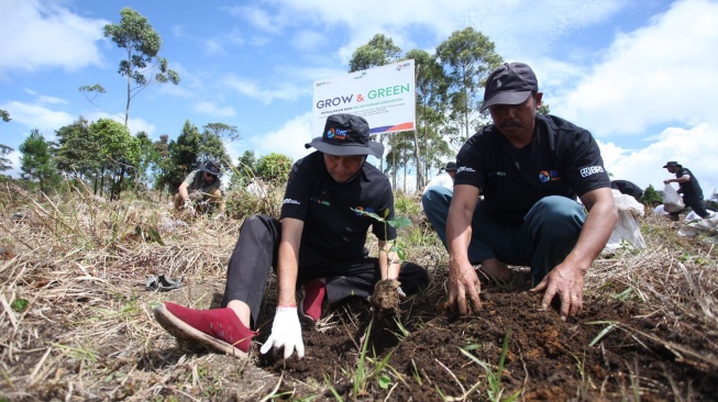 BRI Menanam - Grow & Green Bantu Pulihkan Ekosistem dan Lawan Perubahan Iklim