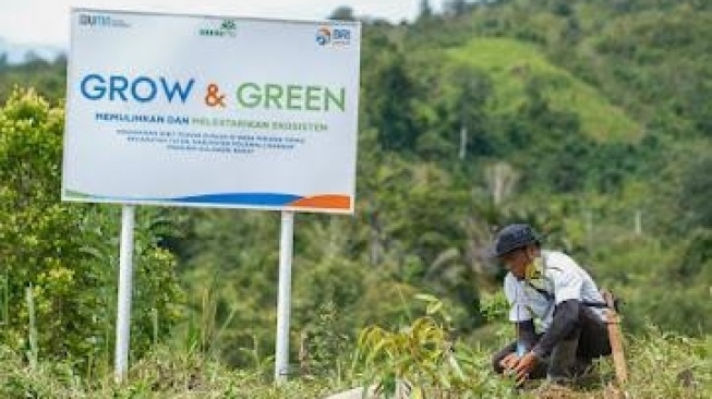 Program BRI Menanam - Grow & Green Pulihkan Ekosistem dan Lawan Perubahan Iklim