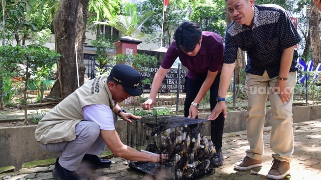 Penjabat Gubernur Sulsel Zudan Arif Fakrulloh Beli 80 Burung Kemudian Dilepaskan