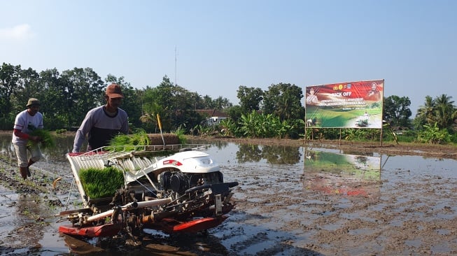 Wujudkan Ketahanan Pangan, Pemkab Sleman Mulai Optimalisasi Belasan Hektare Lahan Tidur