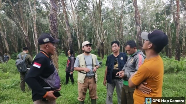 Misteri Kucing Emas di Pesawaran: Tim Penyisir Belum Temukan Jejak