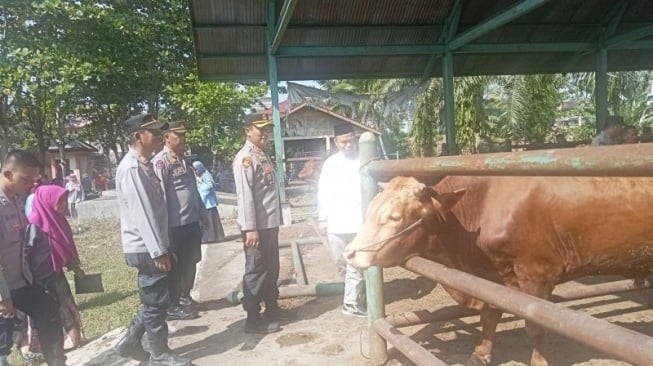 Idul Adha 1445 H, Pemkab Pasaman Barat Jamin Kesehatan Hewan Kurban