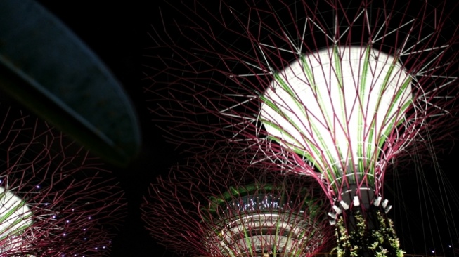 Wisata di Singapura: Garden by the bay [suara.com/eliza gusmeri]