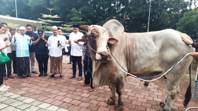 Rudy Susmanto Bagikan 48 Sapi Kurban dari Prabowo Untuk Warga Bogor