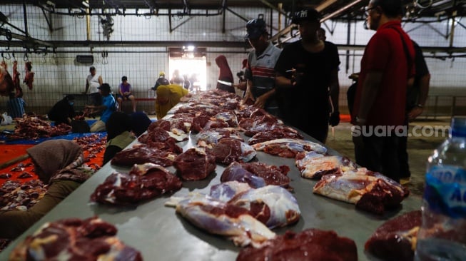 Aktivitas pekerja di Rumah Pemotongan Hewan (RPH) Perumda Dharma Jaya, Jakarta, Senin (17/6/2024). [Suara.com/Alfian Winanto]
