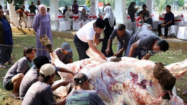 Pj Gubernur Banten Sembelih Langsung Sapi Kurban Presiden Jokowi