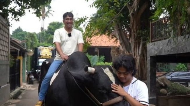 Jelang Dikurbankan, Irfan Hakim Tunggangi Sapi Jumbonya Keliling Rumah