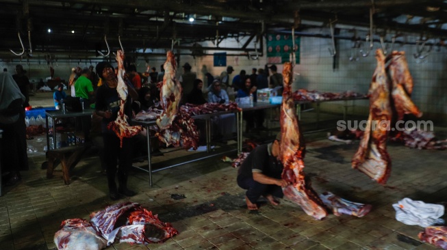 Aktivitas pekerja di Rumah Pemotongan Hewan (RPH) Perumda Dharma Jaya, Jakarta, Senin (17/6/2024). [Suara.com/Alfian Winanto]
