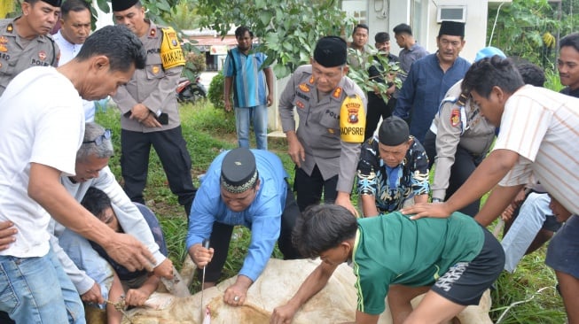 Idul Adha 2024, Polres Labusel Sembelih 7 Sapi-2 Kambing Serta Bagikan Bansos