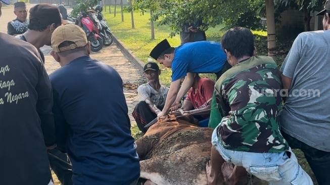 Bagi Ribuan Paket Daging, Ini Alasan Crazy Rich Cilegon Sembelih Sendiri Hewan Kurbannya