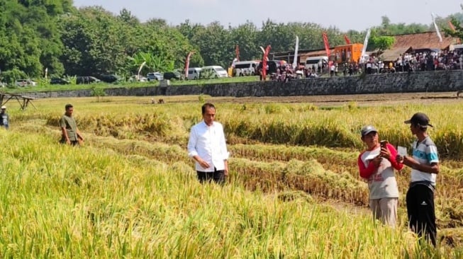 Tak Hanya Pompanisasi, Presiden Jokowi Siapkan Strategi Jitu Hadapi Kekeringan