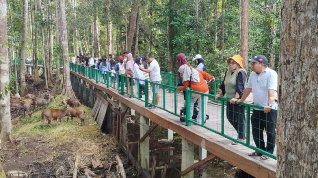 Nyaru Menteng: Surga Tersembunyi Palangka Raya Ramai Dikunjungi Saat Libur Idul Adha