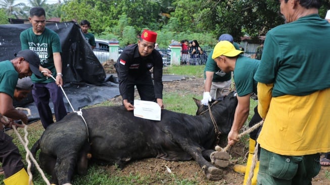 PHR Salurkan 514 Hewan Kurban untuk Masyarakat Sekitar Wilayah Operasi