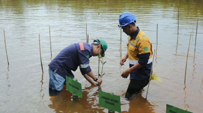 Lestarikan Lingkungan di Sekitar Wilayah Operasi, Antam Rehabilitasi DAS Poleang