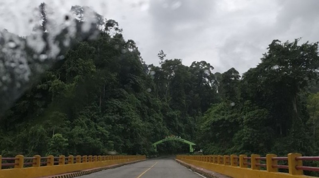 86% Hutan Lampung Ditinggali Manusia, Dinas Kehutanan Gelontorkan Rp2 Miliar untuk Pemberdayaan