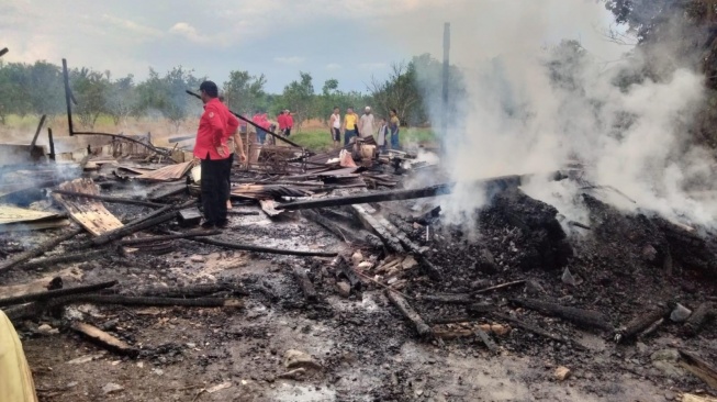 Api Melalap Kandang Kambing di Sambas, 12 Ekor Hangus Terbakar!