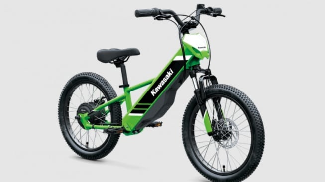 Sepeda listrik dari Kawasaki, Elektrode 20 (Kawasaki)