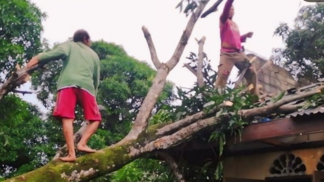 Angin Kencang Terjang Bintan, Rumah Warga Rusak Tertimpa Pohon