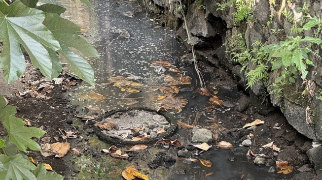 DLHK DIY dan Sleman Turun Tangan Usut Dugaan Pencemaran Sungai di Jongkang yang Viral di Medsos