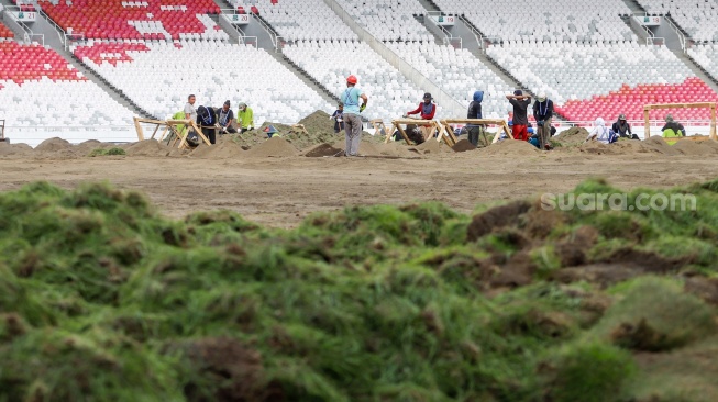 Pekerja melakukan pengerjaan revitalisasi rumput lapangan di Stadion Utama Gelora Bung Karno (SUGBK), Senayan, Jakarta, Rabu (26/6/2024). [Suara.com/Alfian Winanto]