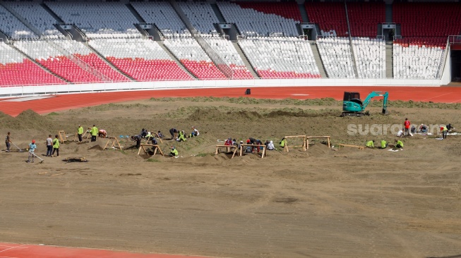 Pekerja melakukan pengerjaan revitalisasi rumput lapangan di Stadion Utama Gelora Bung Karno (SUGBK), Senayan, Jakarta, Rabu (26/6/2024). [Suara.com/Alfian Winanto]