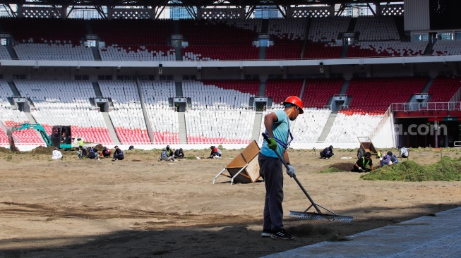 Pekerja melakukan pengerjaan revitalisasi rumput lapangan di Stadion Utama Gelora Bung Karno (SUGBK), Senayan, Jakarta, Rabu (26/6/2024). [Suara.com/Alfian Winanto]