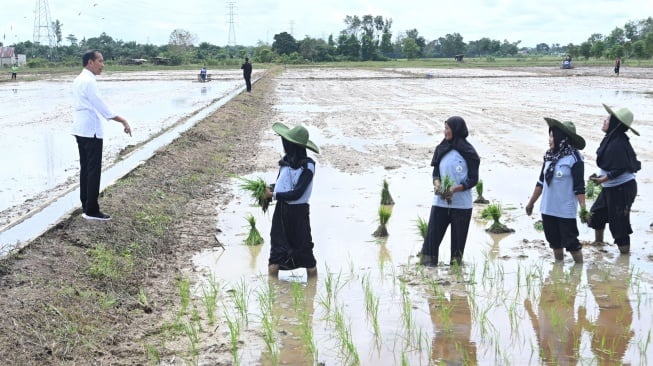 Dampak Gelombang Panas Diprediksi Landa Indonesia Juli-Oktober, Ini Antisipasi Pemerintah