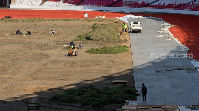 Pekerja melakukan pengerjaan revitalisasi rumput lapangan di Stadion Utama Gelora Bung Karno (SUGBK), Senayan, Jakarta, Rabu (26/6/2024). [Suara.com/Alfian Winanto]