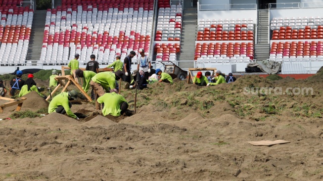 Pekerja melakukan pengerjaan revitalisasi rumput lapangan di Stadion Utama Gelora Bung Karno (SUGBK), Senayan, Jakarta, Rabu (26/6/2024). [Suara.com/Alfian Winanto]