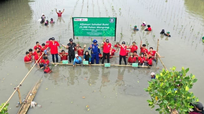 Ulang Tahun ke-25, Alfamart Tanam 25.000 Pohon Mangrove untuk Cegah Abrasi di Muara Gembong